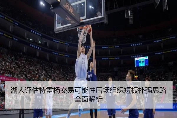 湖人评估特雷杨交易可能性后场组织短板补强思路全面解析